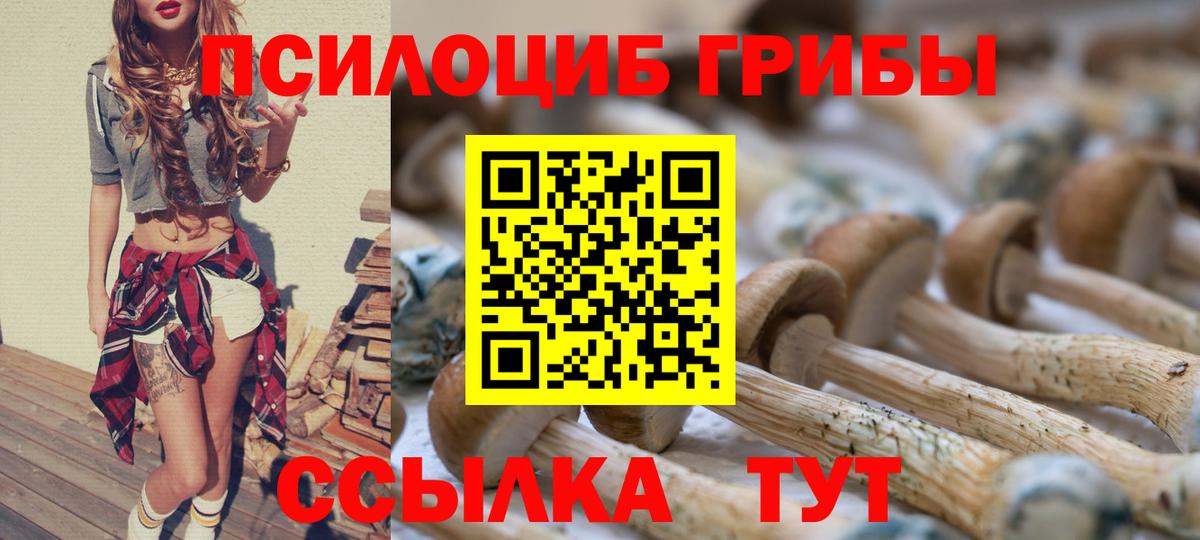 Галлюциногенные грибы Cubensis Мурино