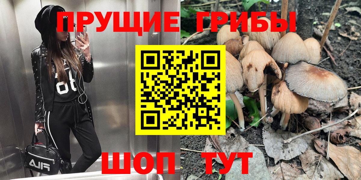 Галлюциногенные грибы GOLDEN TEACHER  Вход с VPN  Мурино 
